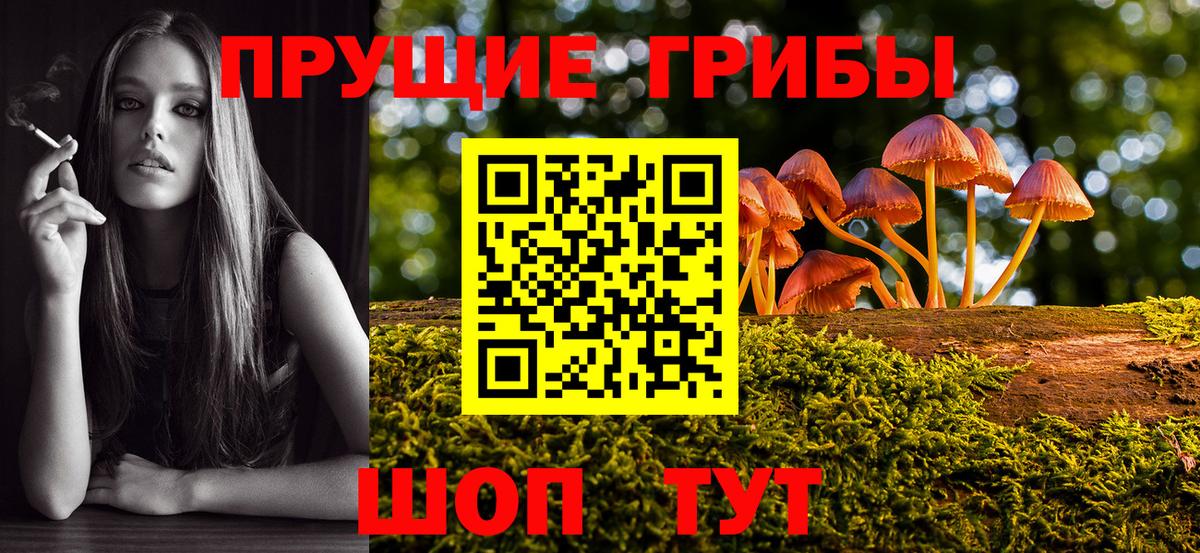 магазин  наркотиков  Вход с VPN  Черногорск  Псилоцибиновые грибы MAGIC MUSHROOMS  Псилоцибиновые грибы мухоморы 
