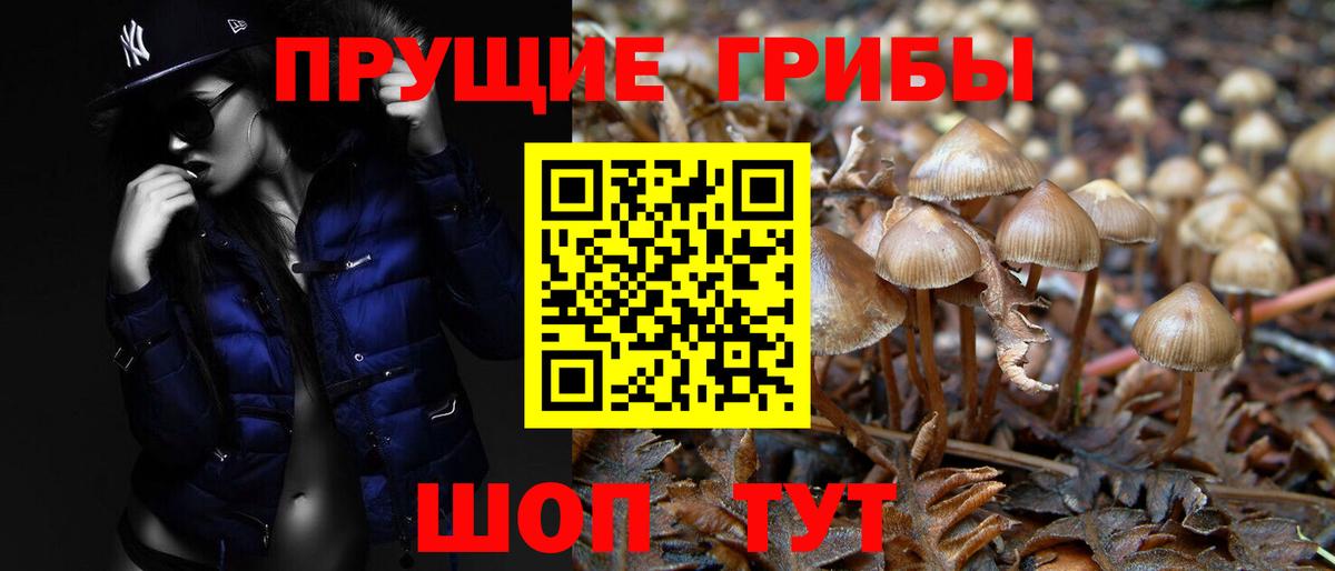Галлюциногенные грибы GOLDEN TEACHER Черногорск
